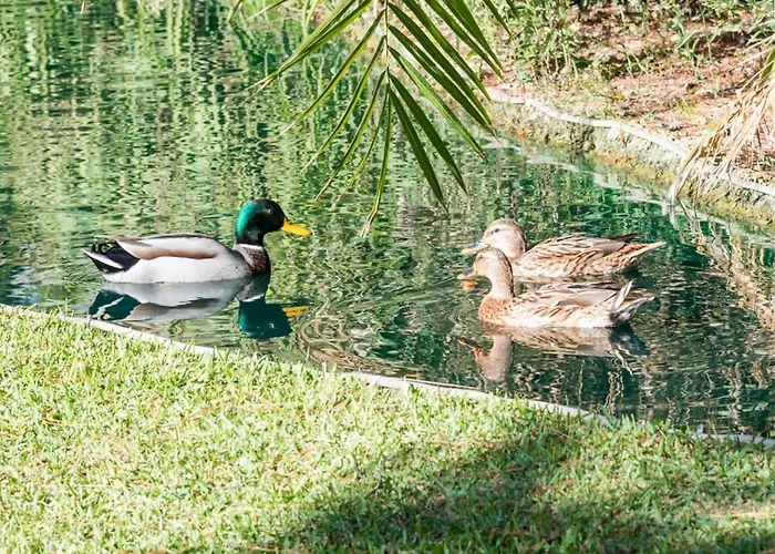 Apartamento Playas Del Duque, Puerto Banus, Golf .playa Y Compras