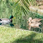 Apartamento Playas Del Duque, Puerto Banus, Golf .playa Y Compras