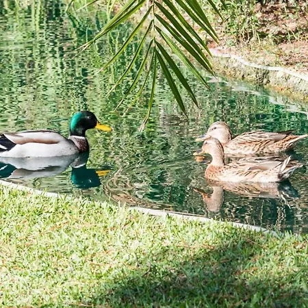 Appartement Playas Del Duque, Puerto Banus, Golf .playa Y Compras